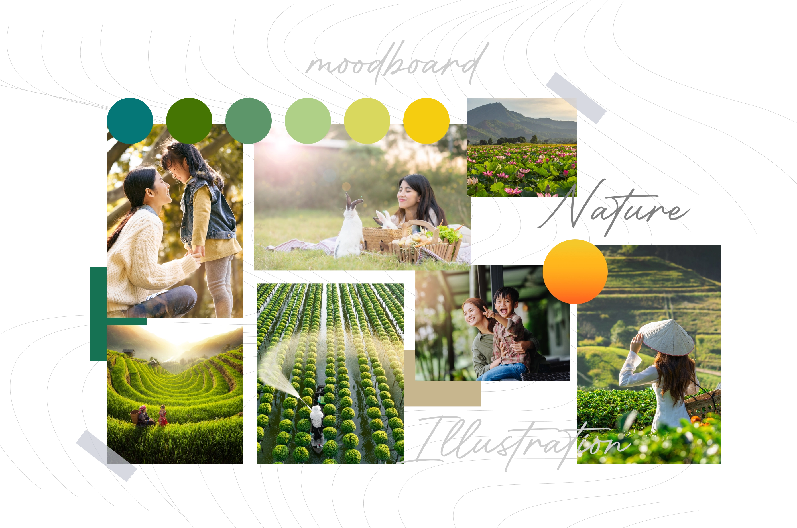 images